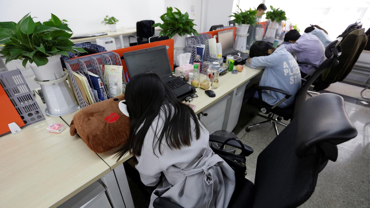 3 Alasan Letakkan Tanaman di Meja Kantor untuk Kesehatan